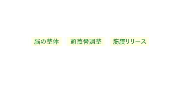 脳の整体／頭蓋骨調整／筋膜調整